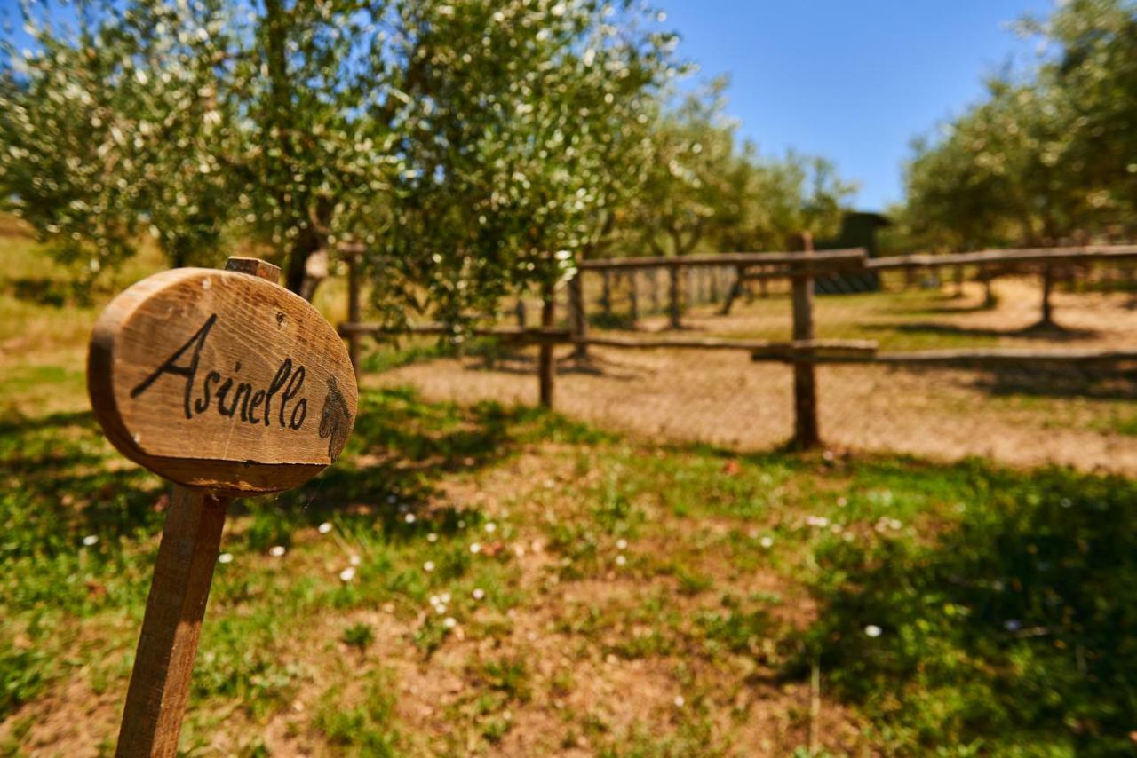 Casale Di Valle Villa Vinci Luaran gambar