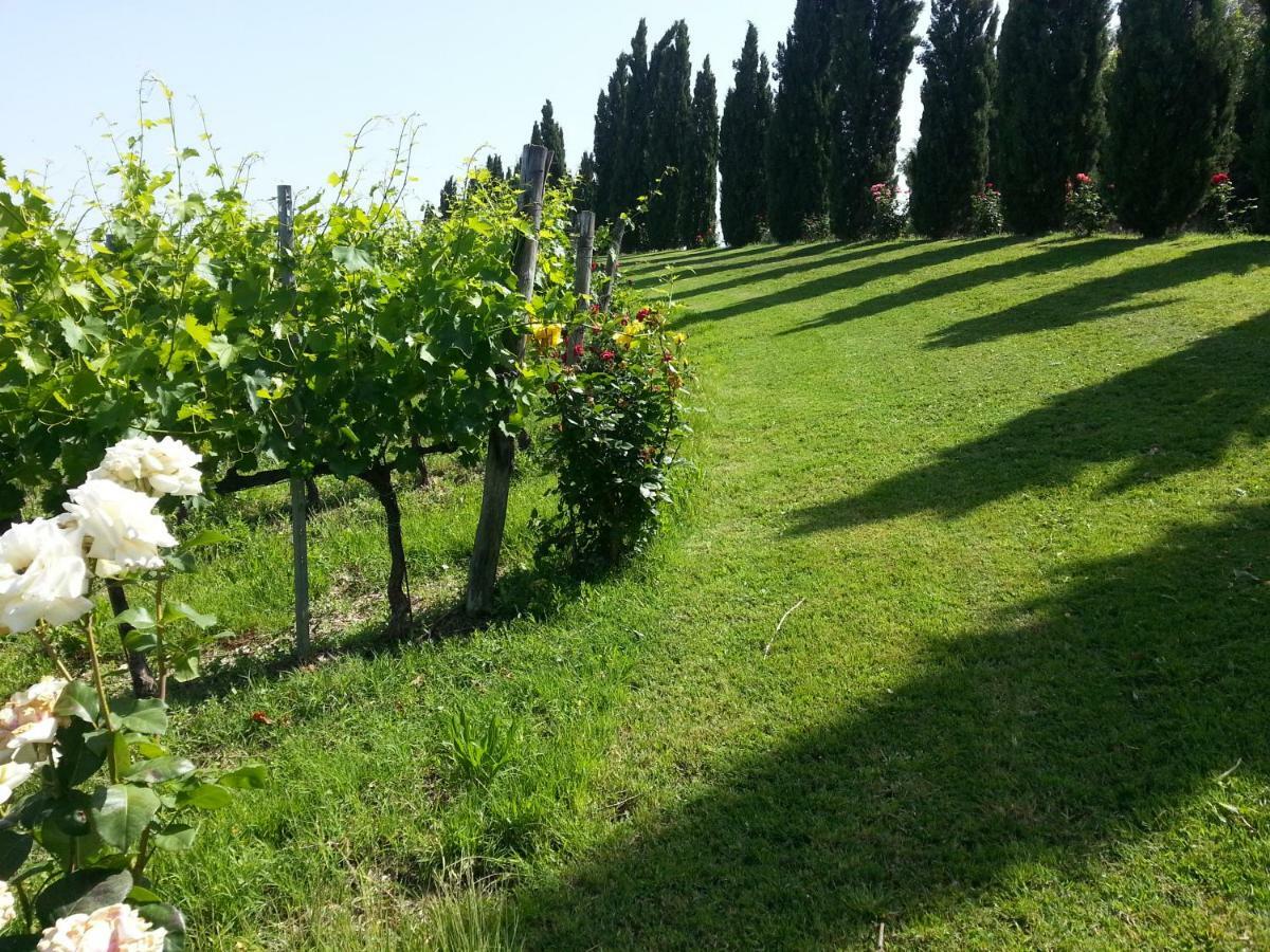 Casale Di Valle Villa Vinci Luaran gambar