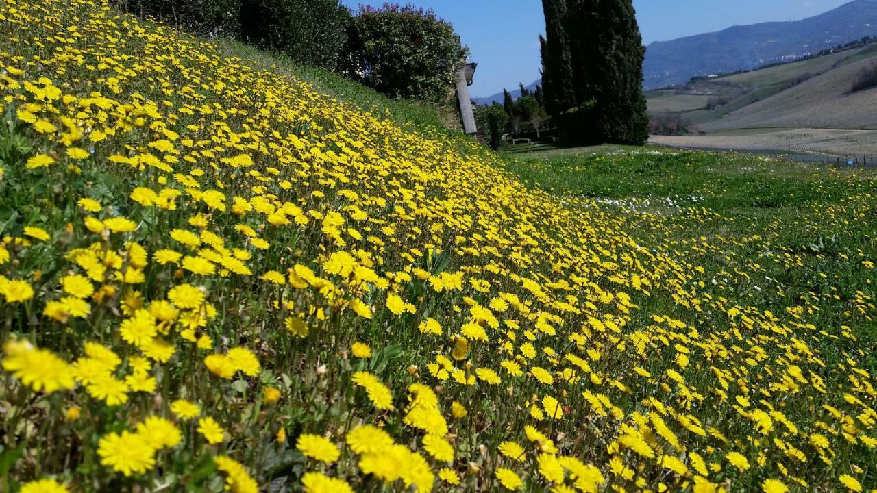 Casale Di Valle Villa Vinci Luaran gambar