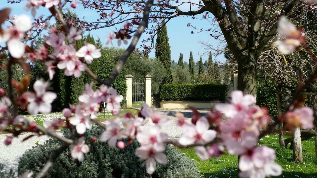 Casale Di Valle Villa Vinci Luaran gambar
