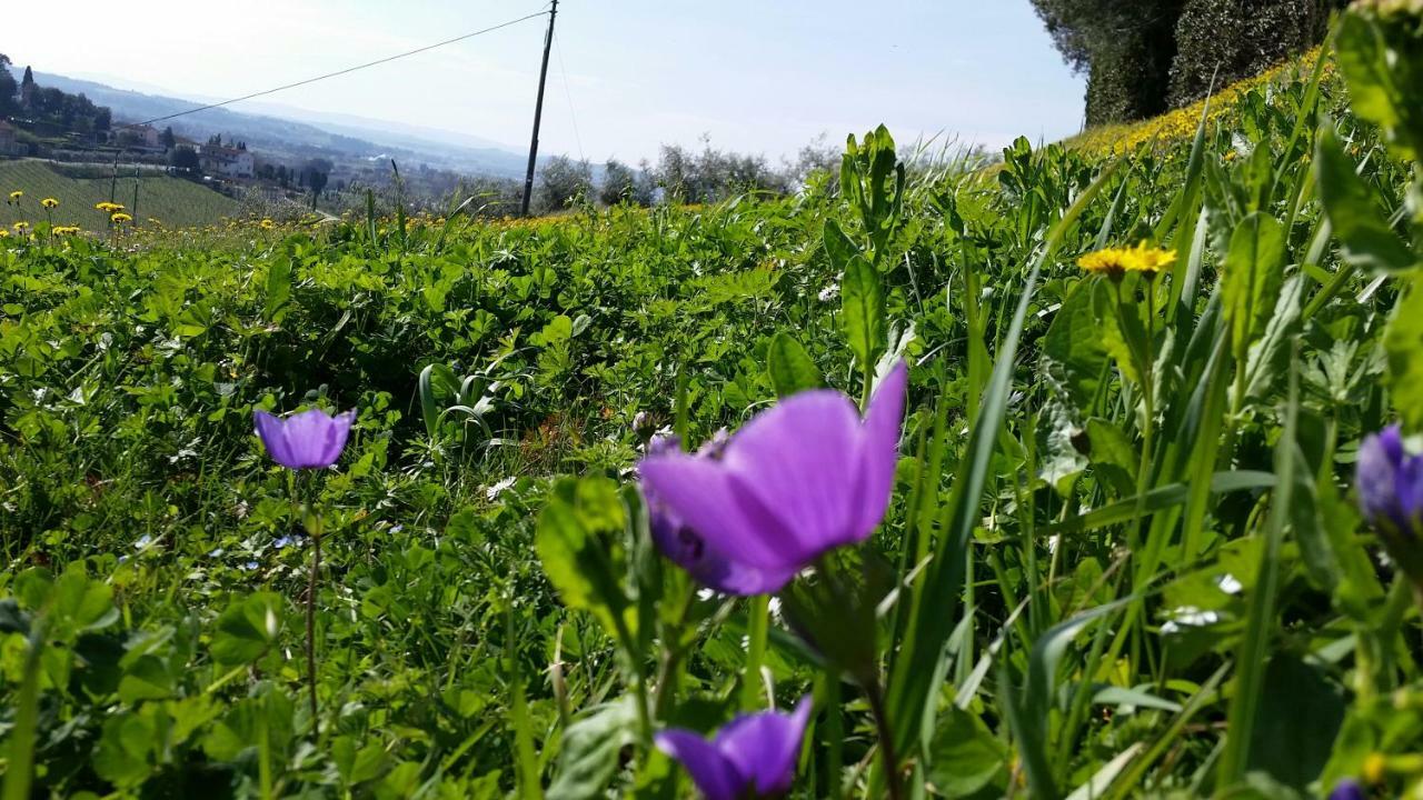 Casale Di Valle Villa Vinci Luaran gambar