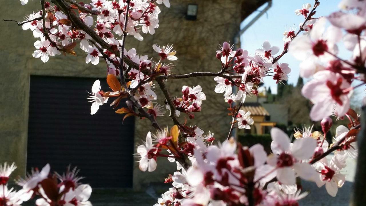Casale Di Valle Villa Vinci Luaran gambar